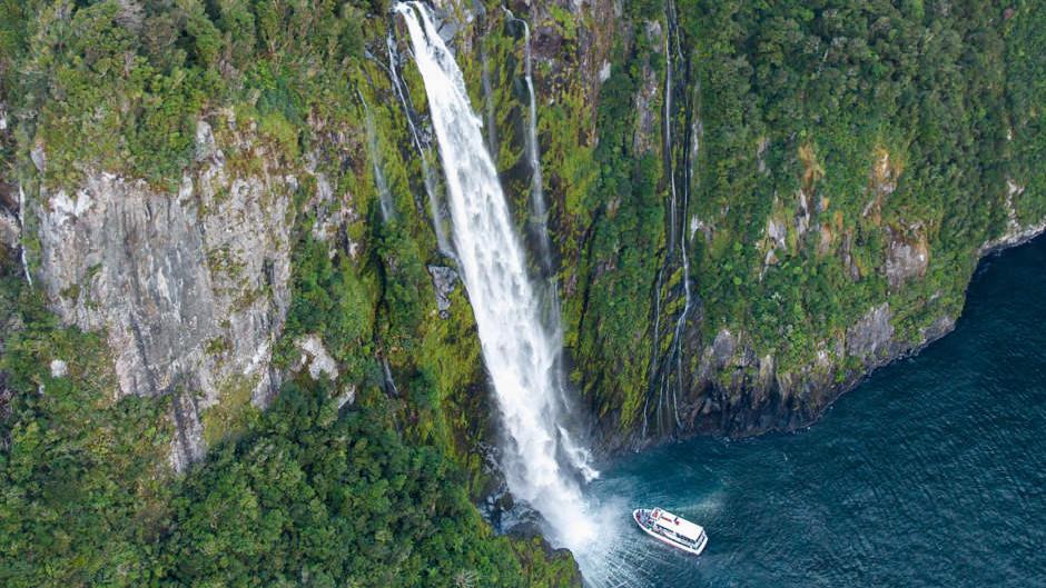 milford sound discover cruise